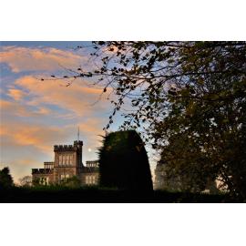 Larnach Castle