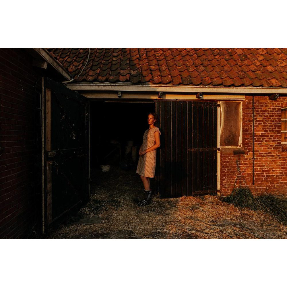 ‘My salamander’ by Emma Neale translated for new anthology 