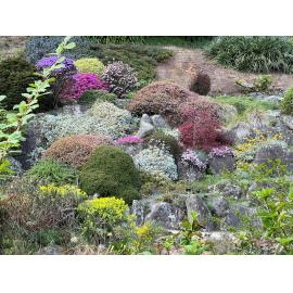 Dunedin Botanic Garden Heritage Day 