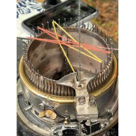 Dunedin Botanic Garden Heritage Day 