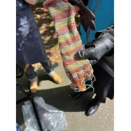 Dunedin Botanic Garden Heritage Day 