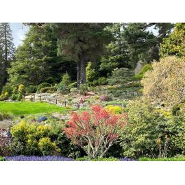 Dunedin Botanic Garden Heritage Day 