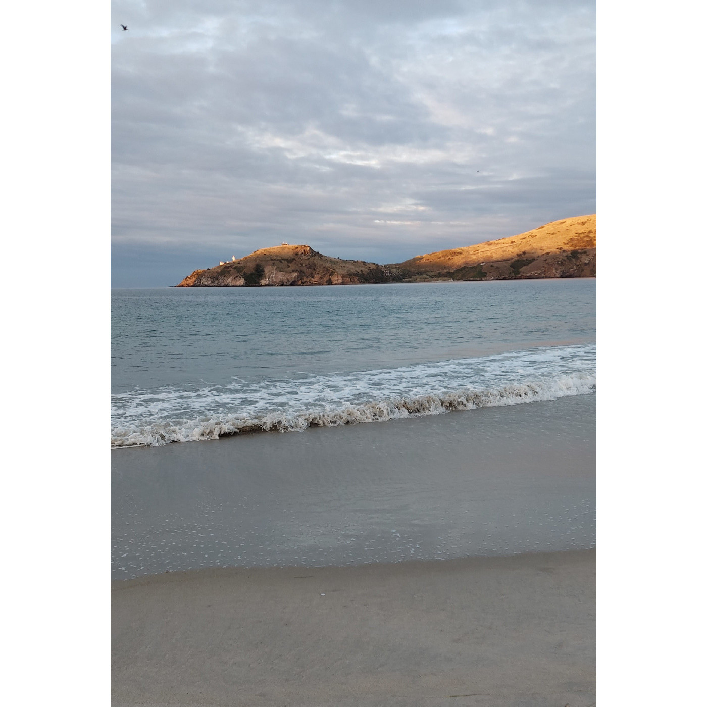 Writing Wild Weather at Aramoana with David Eggleton and Michelle Elvy