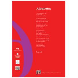 Penelope Todd-National Poetry Day Poem 2024