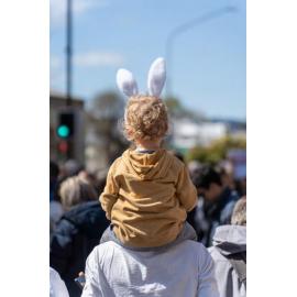 They Save We Pay Dunedin Hospital public march