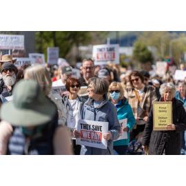 They Save We Pay Dunedin Hospital public march