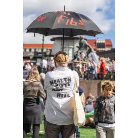 They Save We Pay Dunedin Hospital public march