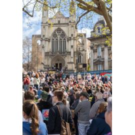 They Save We Pay Dunedin Hospital public march