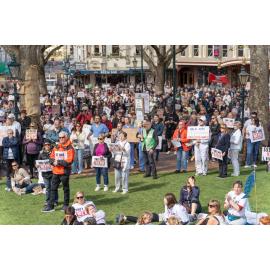 They Save We Pay Dunedin Hospital public march