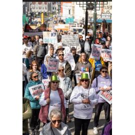 They Save We Pay Dunedin Hospital public march