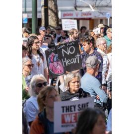 They Save We Pay Dunedin Hospital public march
