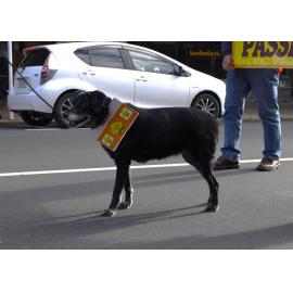 Restore Passenger Rail Protest