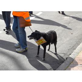 Restore Passenger Rail Protest
