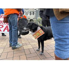 Restore Passenger Rail Protest