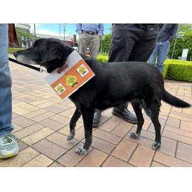 Restore Passenger Rail Protest