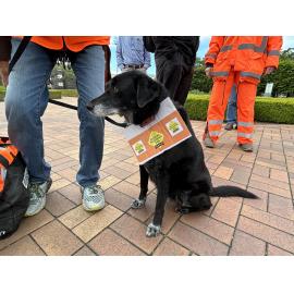 Restore Passenger Rail Protest