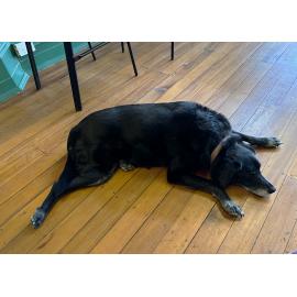 Restore Passenger Rail Protest