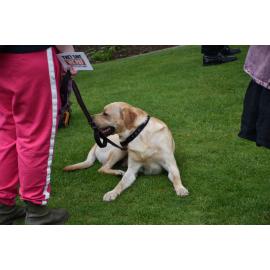 Maranga Ake - Fight Back Together