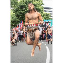 Waitangi Day Hīkoi