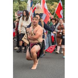 Waitangi Day Hīkoi