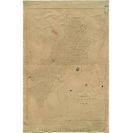 General plan of the town of Dunedin from official surveys, Otago 1861