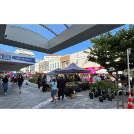 George Street Market 2025