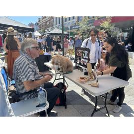 George Street Market 2025