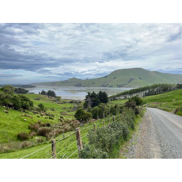 Reflections on 2024 Caselberg Trust Margaret Egan Cities of Literature Writers Residency