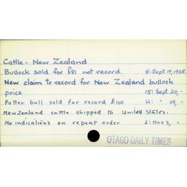 Cattle - New Zealand