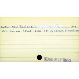 Cattle - New Zealand