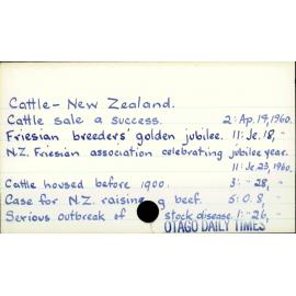 Cattle - New Zealand