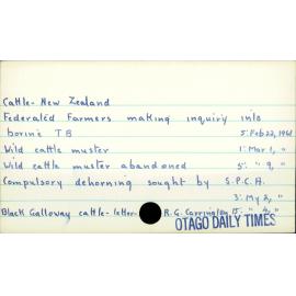 Cattle - New Zealand