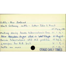 Cattle - New Zealand