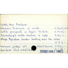 Cattle - New Zealand