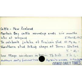 Cattle - New Zealand