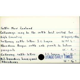 Cattle - New Zealand