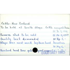 Cattle - New Zealand