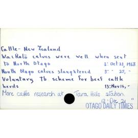 Cattle - New Zealand