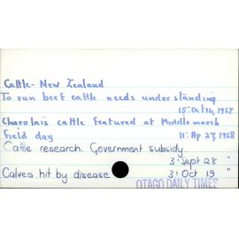 Cattle - New Zealand