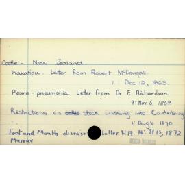 Cattle - New Zealand