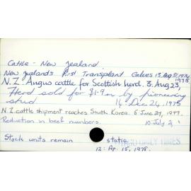 Cattle - New Zealand