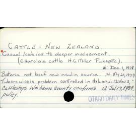 Cattle - New Zealand