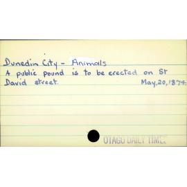 Dunedin City - Animals 