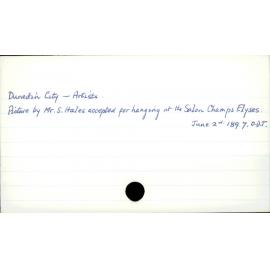 Dunedin City - Artists