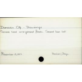 Dunedin City - Drownings