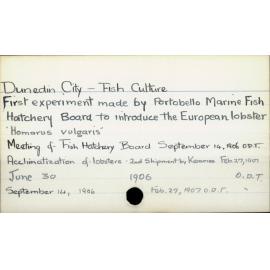 Dunedin City - Fish culture