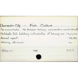 Dunedin City - Fish culture