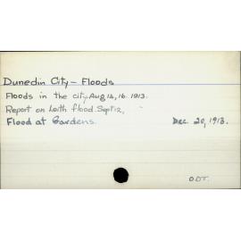Dunedin City - Floods