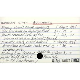 Dunedin City - Accidents