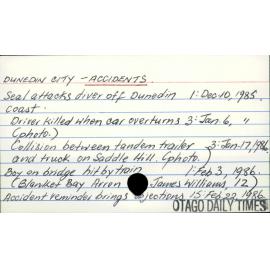 Dunedin City - Accidents